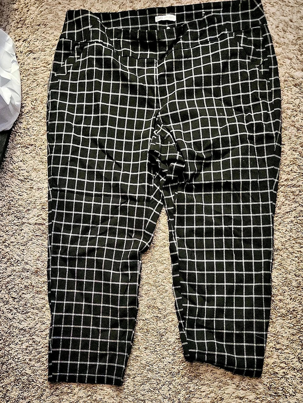 Cato Checkered Ankle Pants in Black & White Size 3X